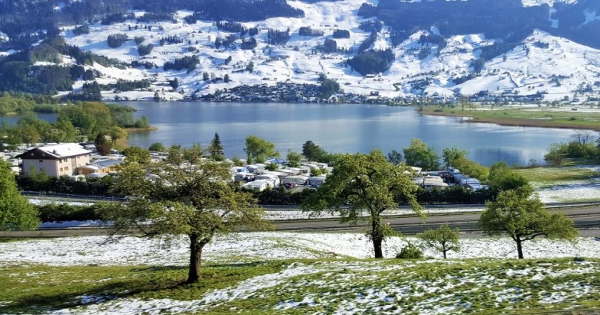 To the south of Arth-Goldau, passing the Lauerzersee, which is on the right