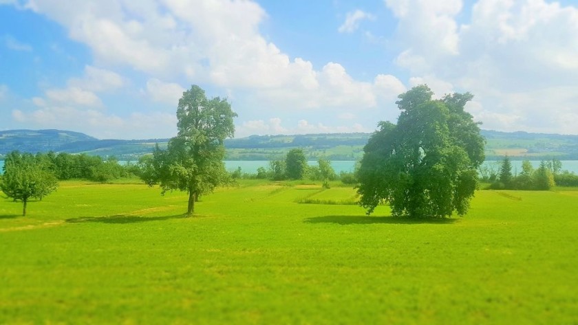 Passing by the Sempachersee, looking through a dirty train window 