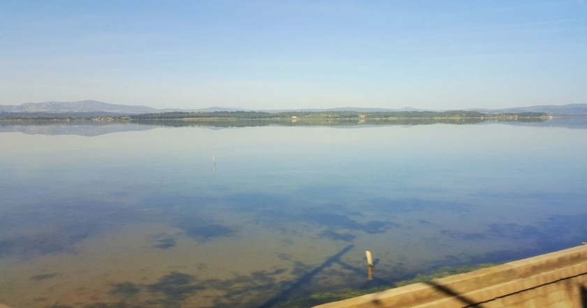 Crossing the marshes between Perpignan and Narbonne