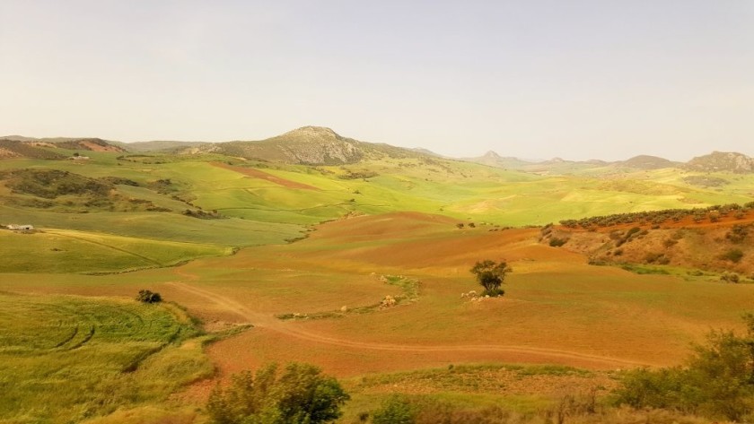 As the train approaches Ronda, from the right there are epic views across the landscape