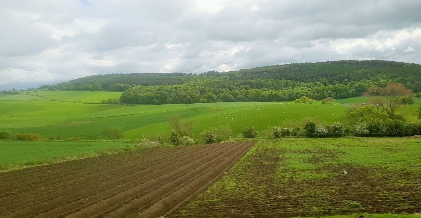 Travelling through the rolling landscape north of Kirlkcaldy