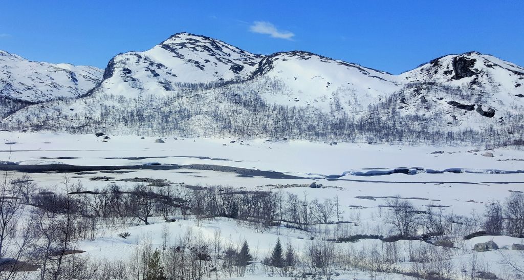 The stunning journey from Myrdal to Oslo is included on our Best of Northern Europe itinerary