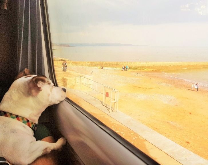 From a train on the sea wall between Dawlish and Teignmouth