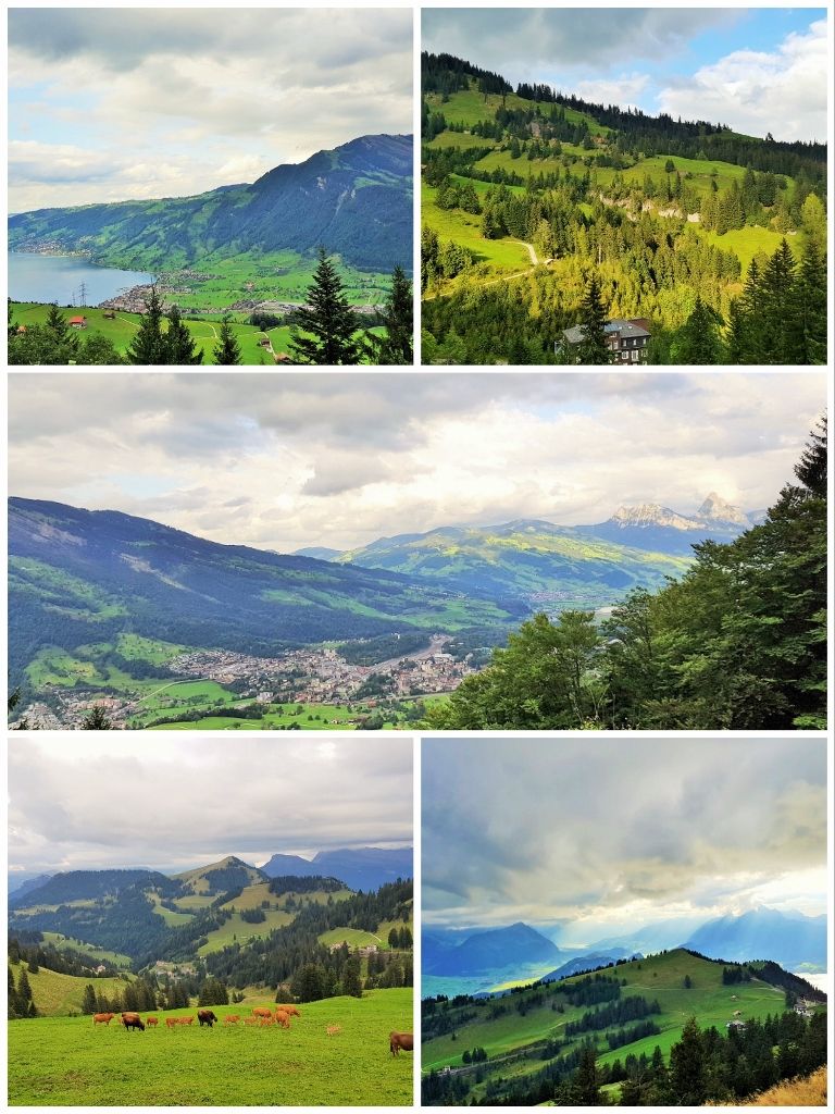 The beautiful train journey from Arth-Goldau to Rigi-Kulm