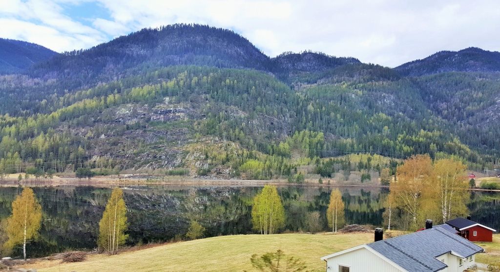 Oslo to Bergen by train