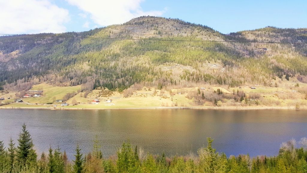 Oslo to Bergen by train