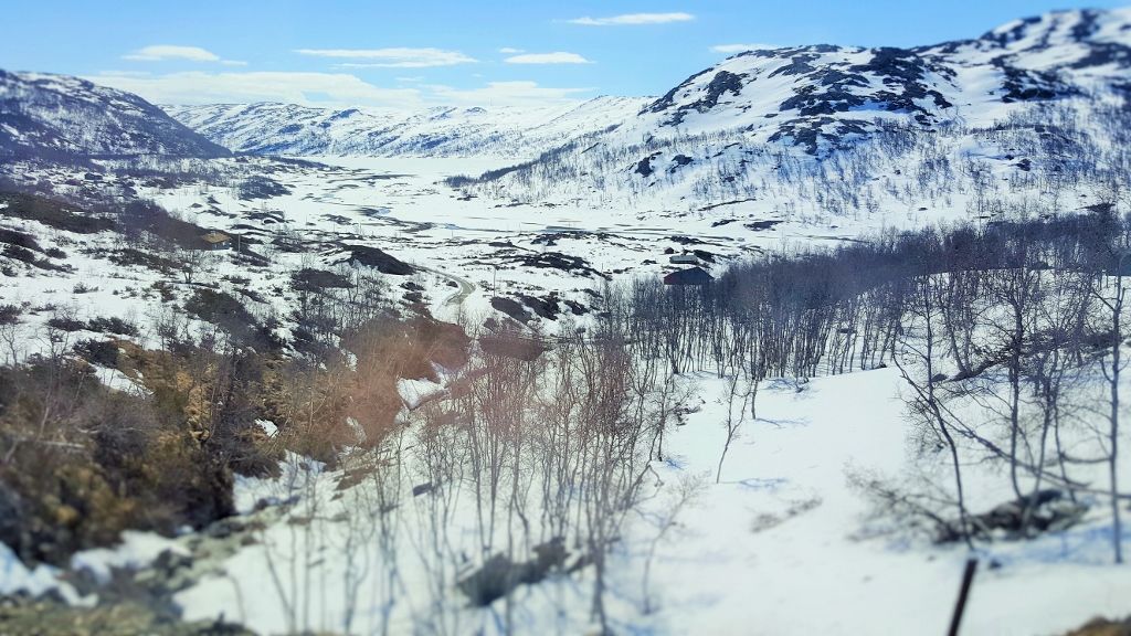 Oslo to Bergen by train
