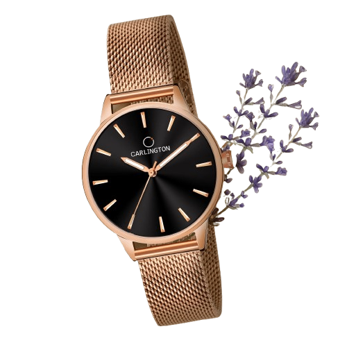ChronoLux Elite Stainless Steel Watch