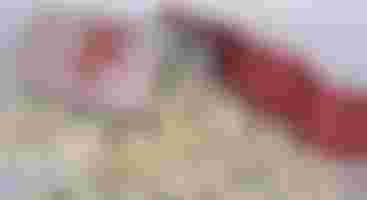 SPECIAL EVENT: Holiday Favorites at ChiTown Movies-Elf Image