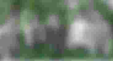 Ghosts Of The Forest