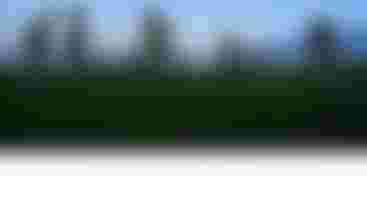 the Mobile Only 26