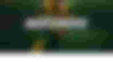 Birmingham Iron at Arizona Hotshots