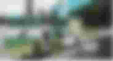 PICTURE FICTION: KENNETH JOSEPHSON AND CONTEMPORARY PHOTOGRAPHY