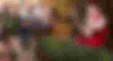 Storytime With Santa Claus At North Park