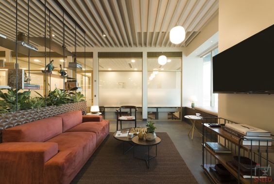 Dextrus In Bkc Reviews Price Example sentences from the web for dextrous.