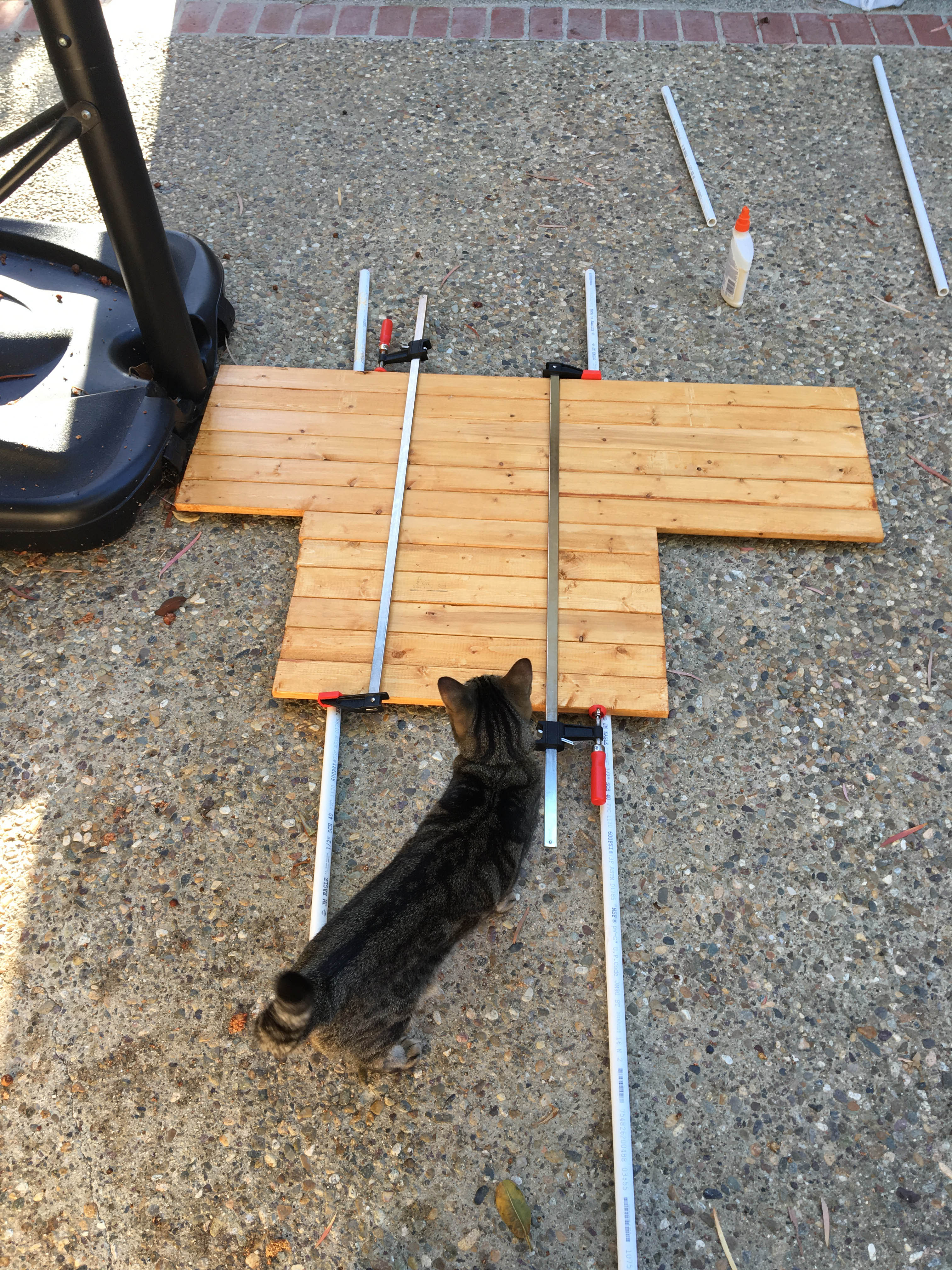 Gluing wood panels together for a PVC catio.