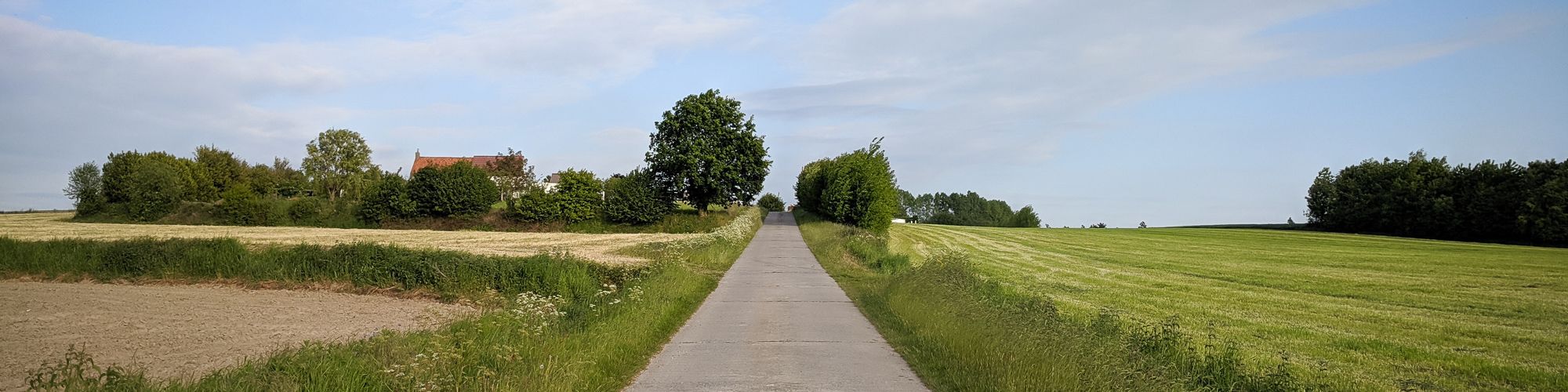 A road cuts the lush green field into two.