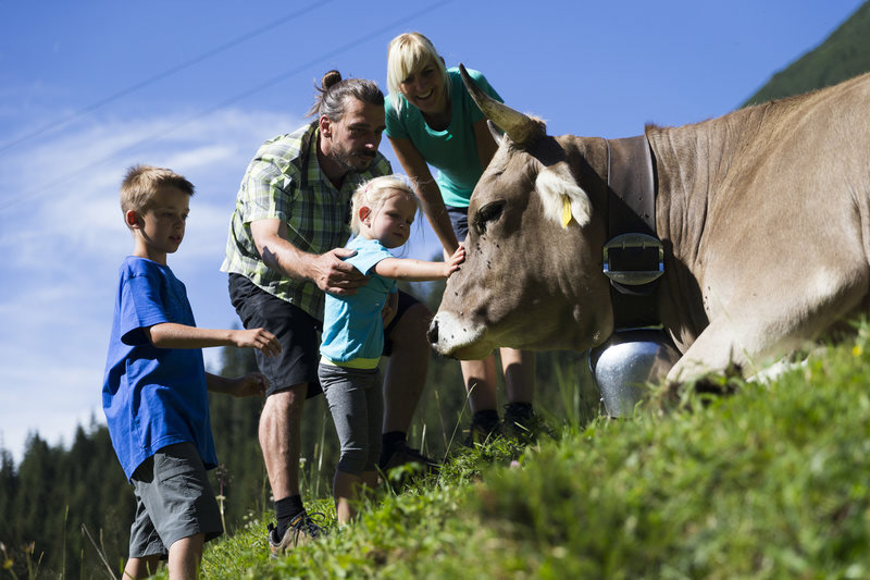 Familie met een koe in de bergen
