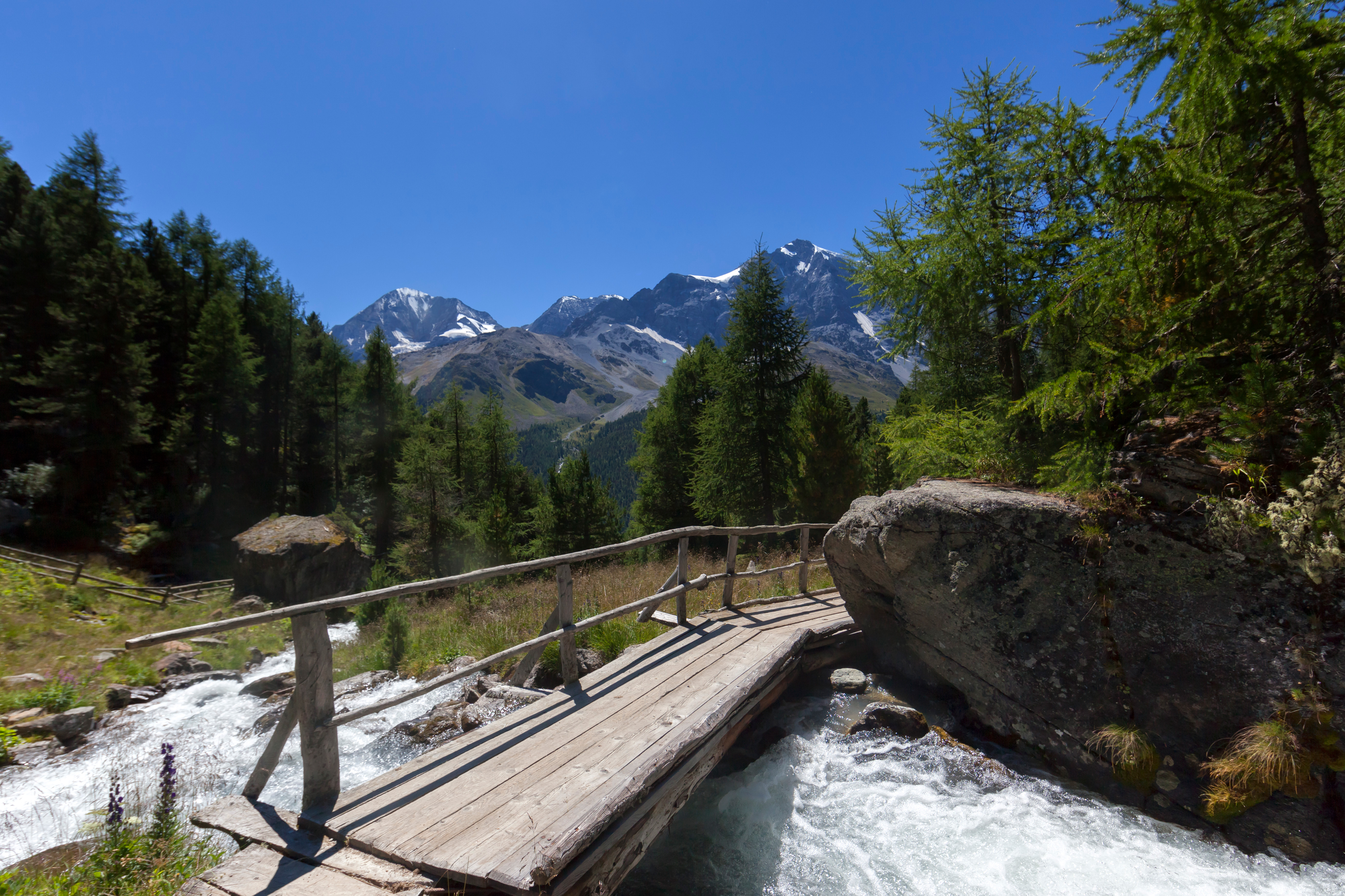 Natur bei Sulden am Ortler