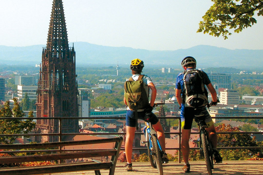 Dom Freiburg uitzicht op Kathedraal