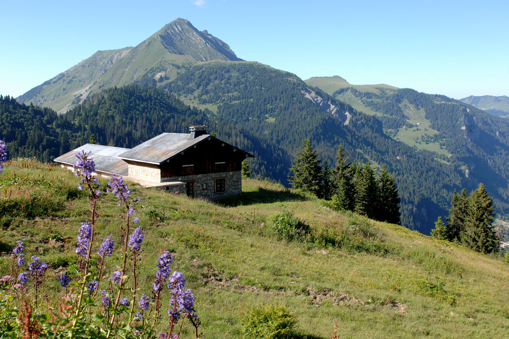 Châtel en een alpenkaasboerderij