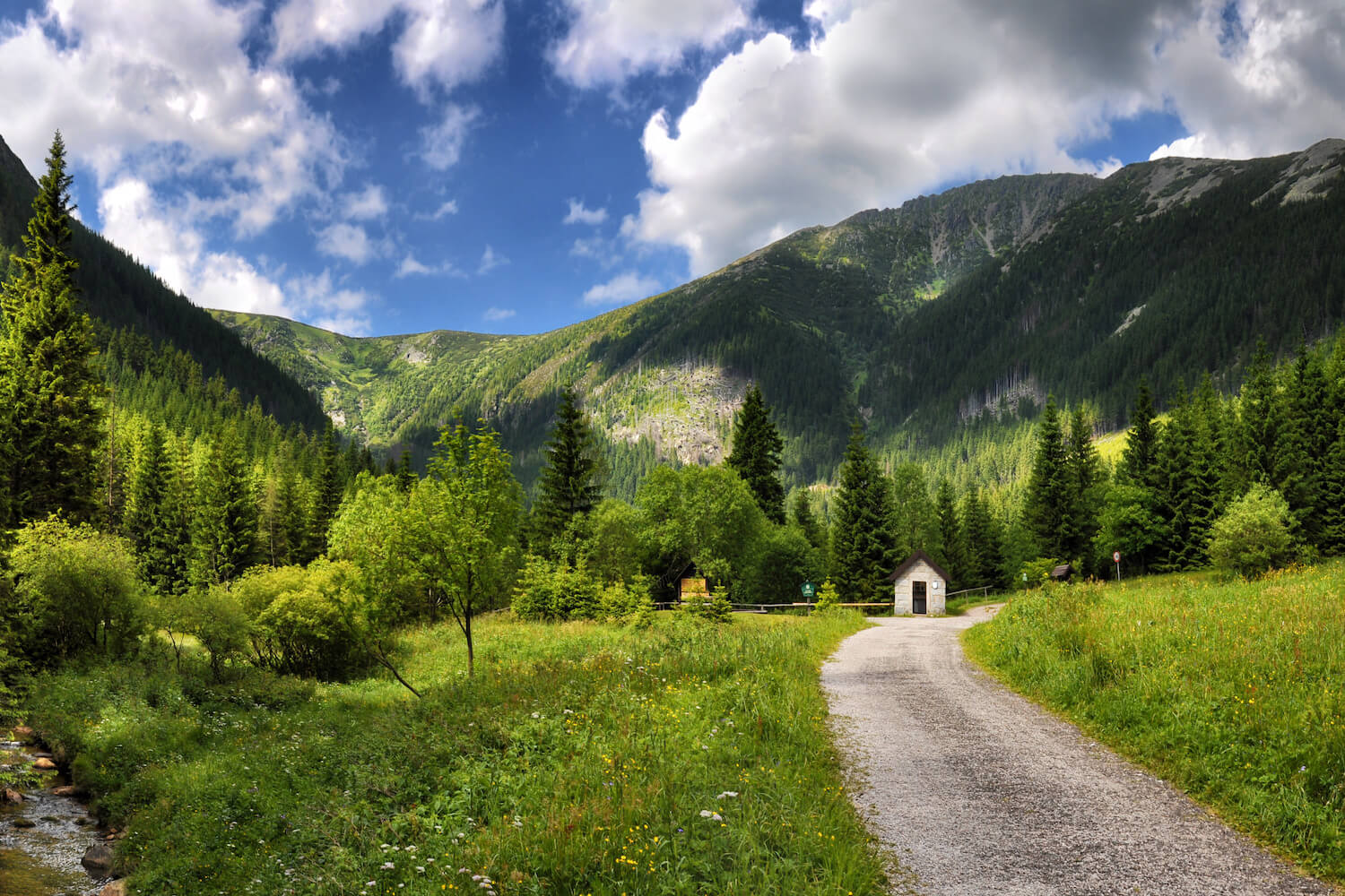 “Zomervakantie “Zomervakantie
