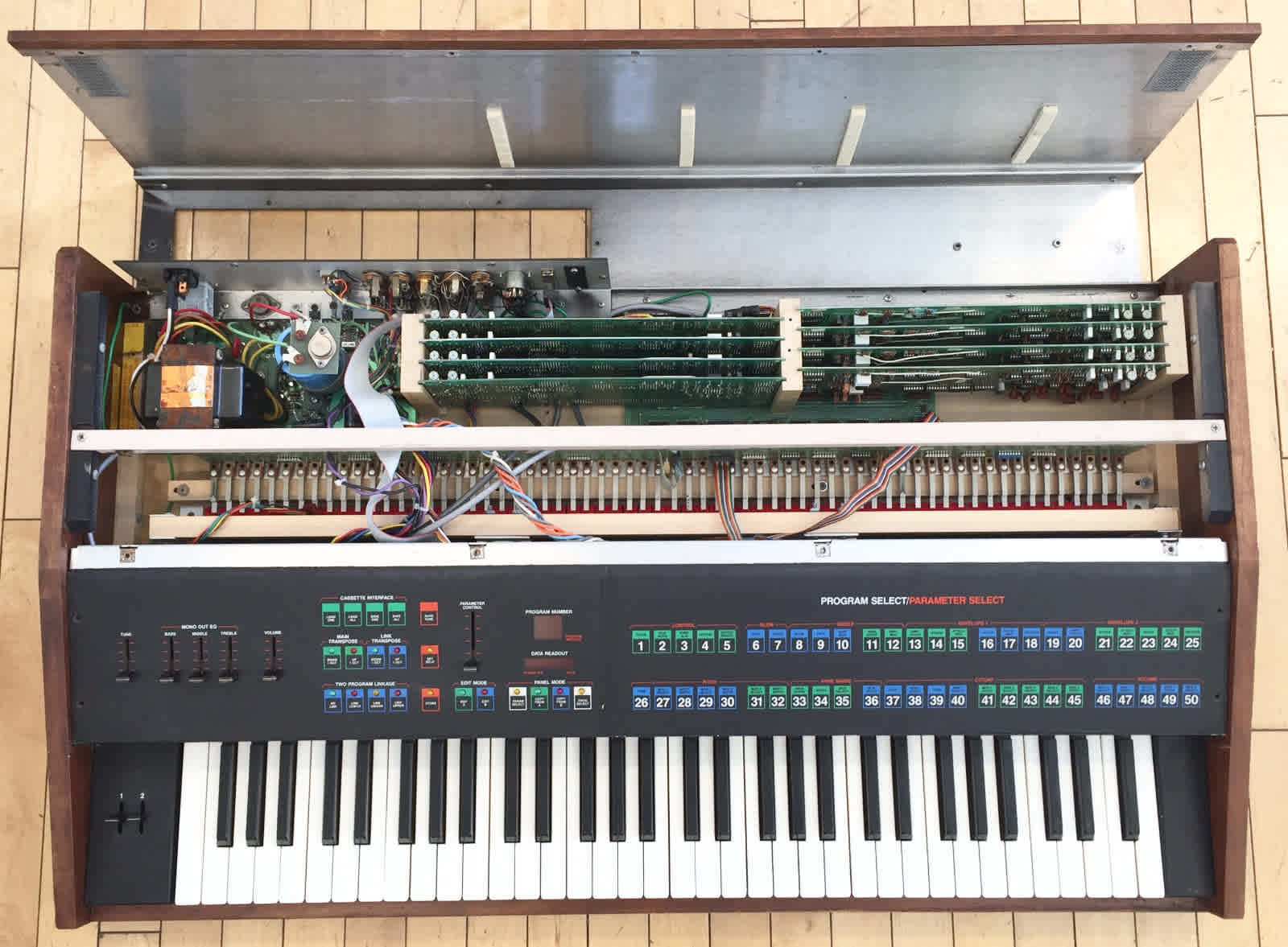 rhodes chroma 2 large