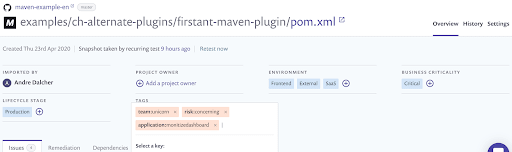 Snyk project details page showing project tags, environment, business criticality, and filtering controls