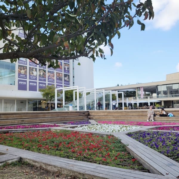 Colorful flower beds and wooden paths in a landscaped plaza outside a modern building, beneath a leafy tree and blue sky.