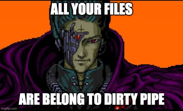 Pixel-Art-Figur in einem violetten Umhang mit Meme-Text: „ALL YOUR FILES ARE BELONG TO DIRTY PIPE.“