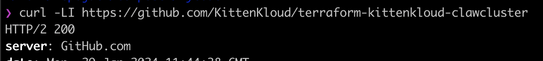 Terminal showing a curl request to a GitHub repository URL and an HTTP/2 200 response from GitHub.com.