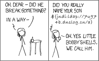 Two-panel black-and-white comic about a parent asking whether someone named their son “${jndi:ldap://...}” after a broken object.