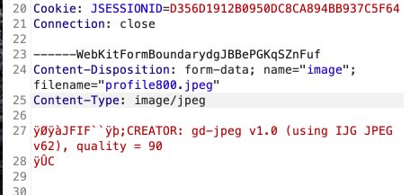 Code snippet showing a JSESSIONID cookie and multipart form-data upload of a JPEG image.