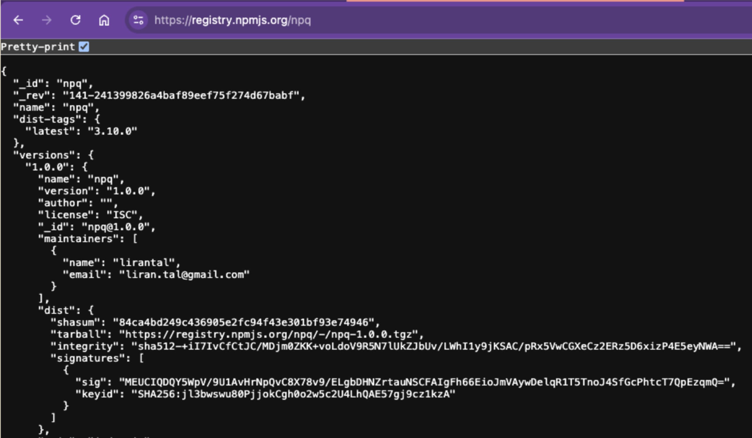 npm registry shows maintainer email as part of the package information