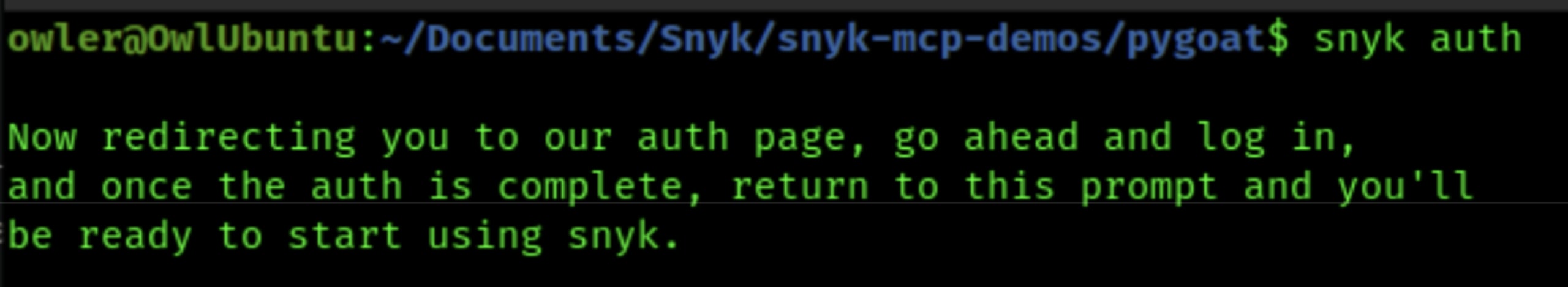 The `snyk auth` command executing successfully in the Snyk CLI.