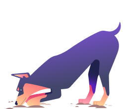 A dog digging for something in the ground