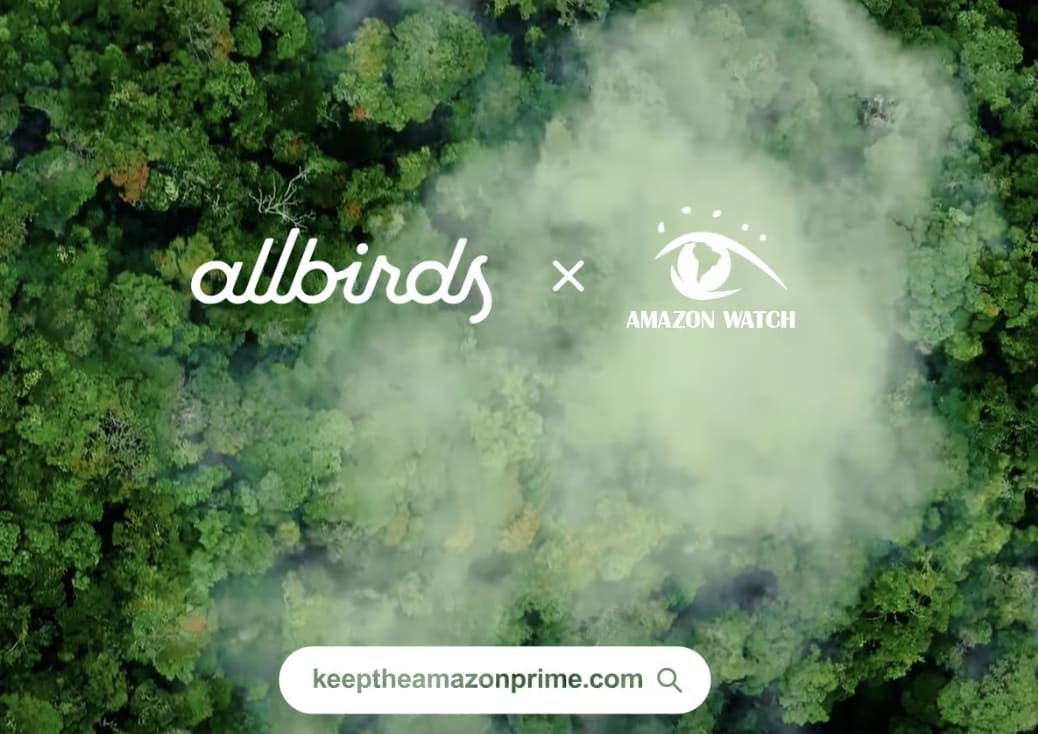 Allbirds 2025 amazon prime