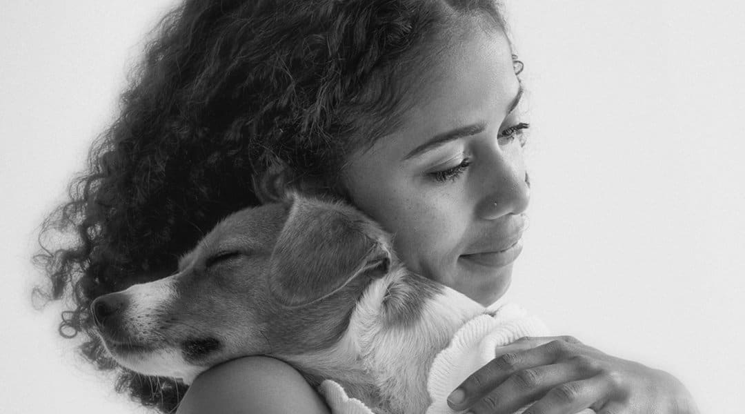 Cute creative from Colenso encourages pet adoption stoppress.co.nz