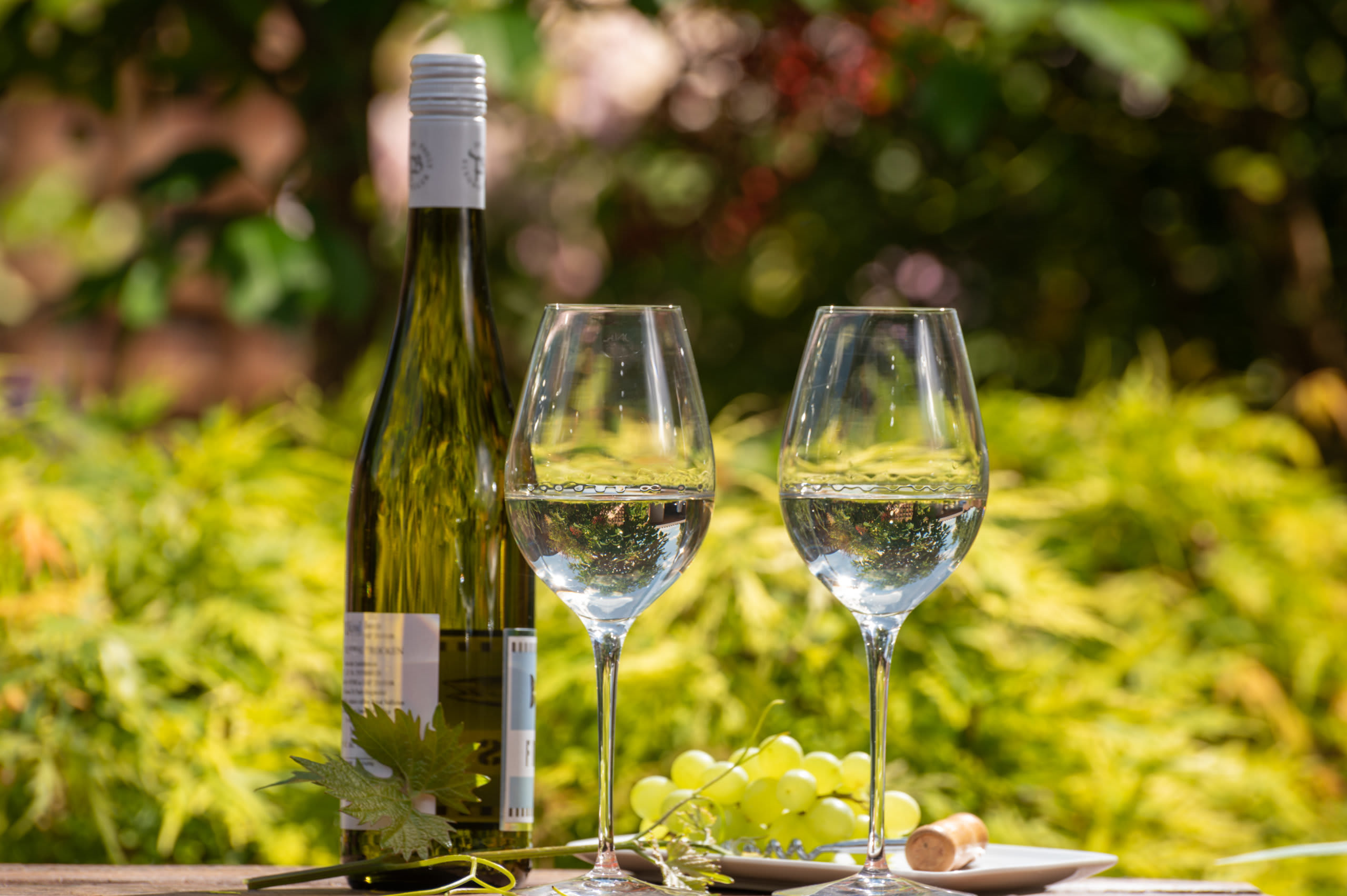 2021 exciting development for the NZ wine industry Idealog