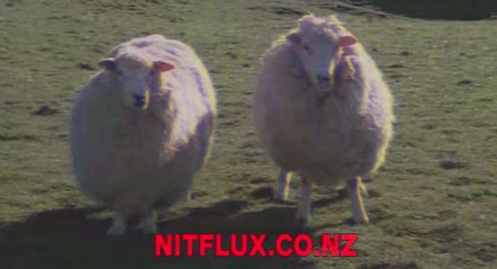 The twangy Netflix of New Zealand - stoppress.co.nz