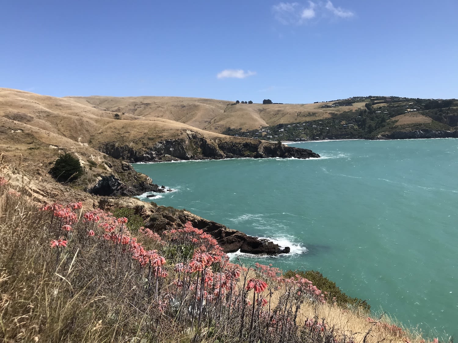 Taylors Mistake Good Magazine