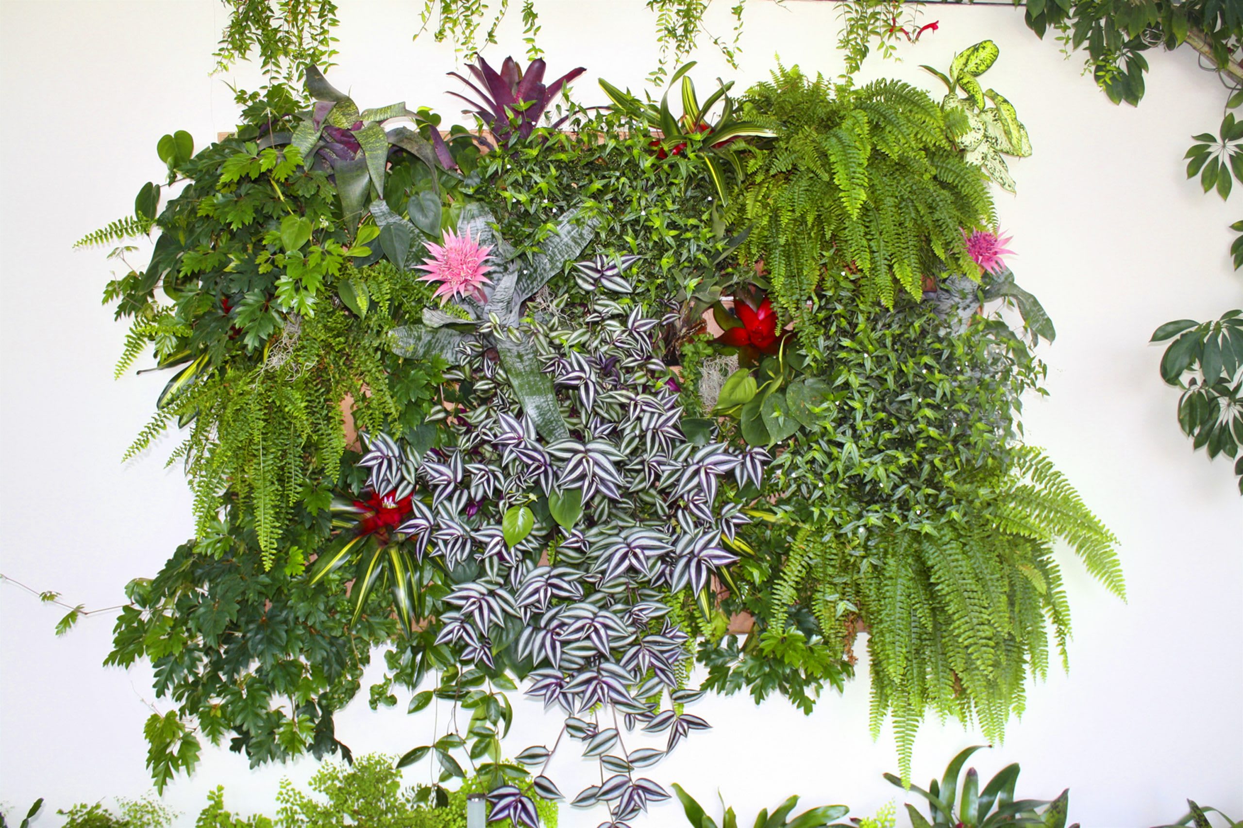 How to build a living wall step by step Good Magazine