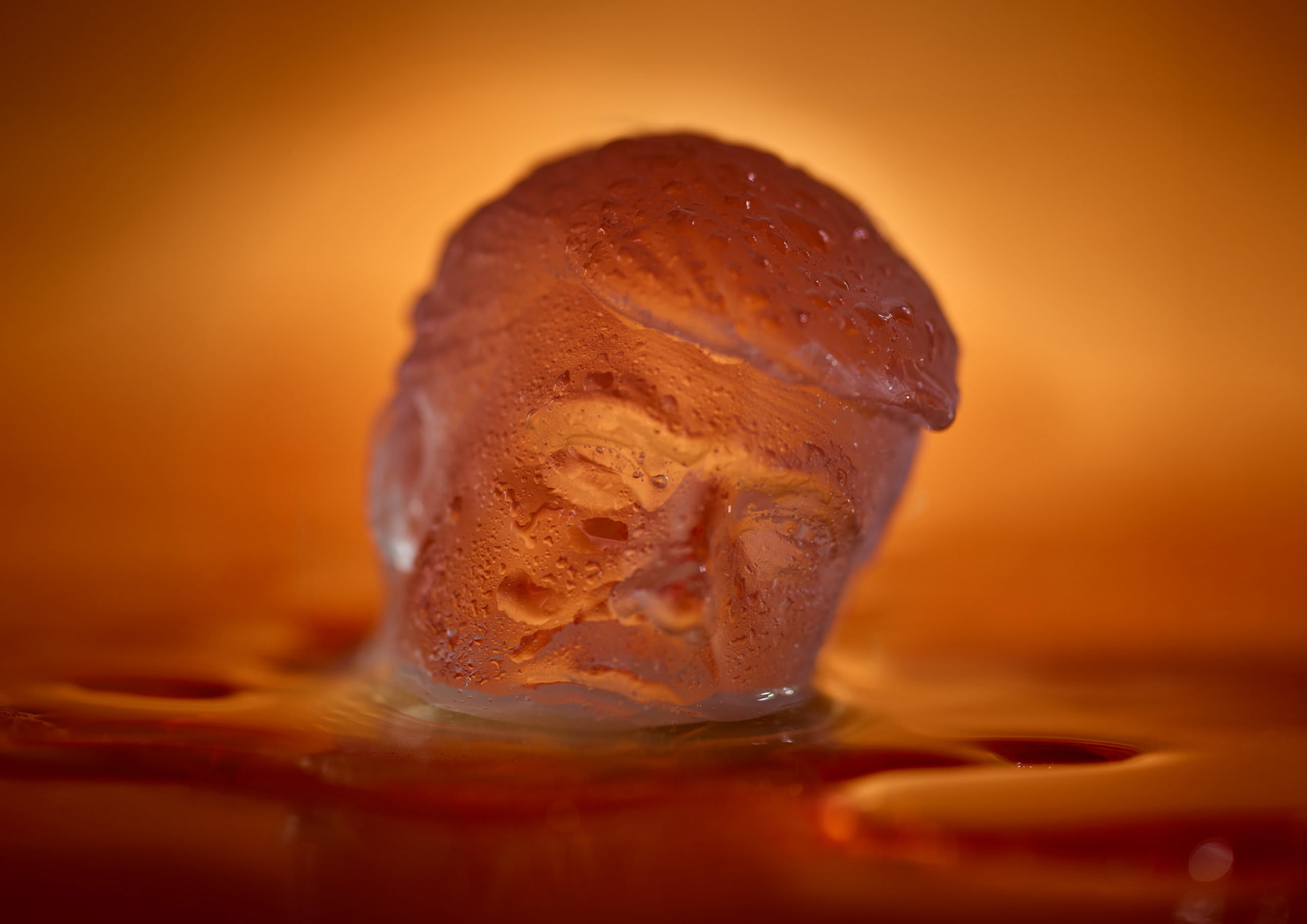 'Perfect for global warming' Kiwi entrepreneurs debut Trump icehead