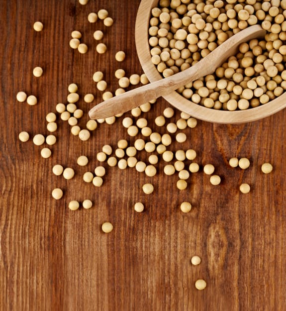 Putting the spotlight on: soy Good Magazine Putting the spotlight on: soy Good Magazine