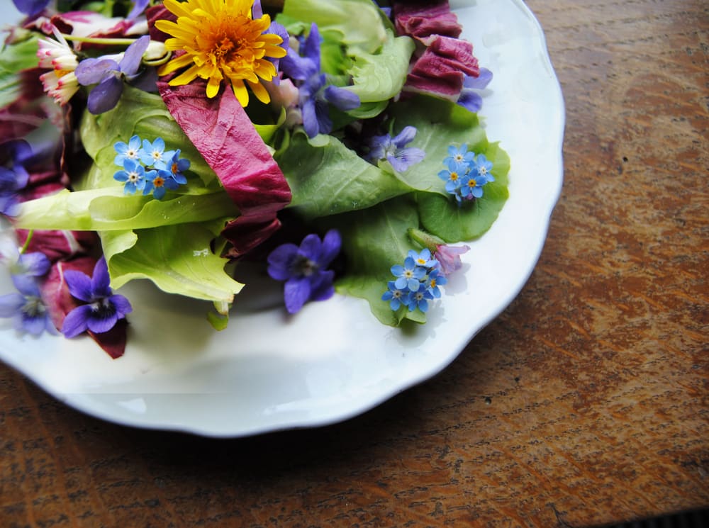 The Good guide to: Edible flowers - Good Magazine