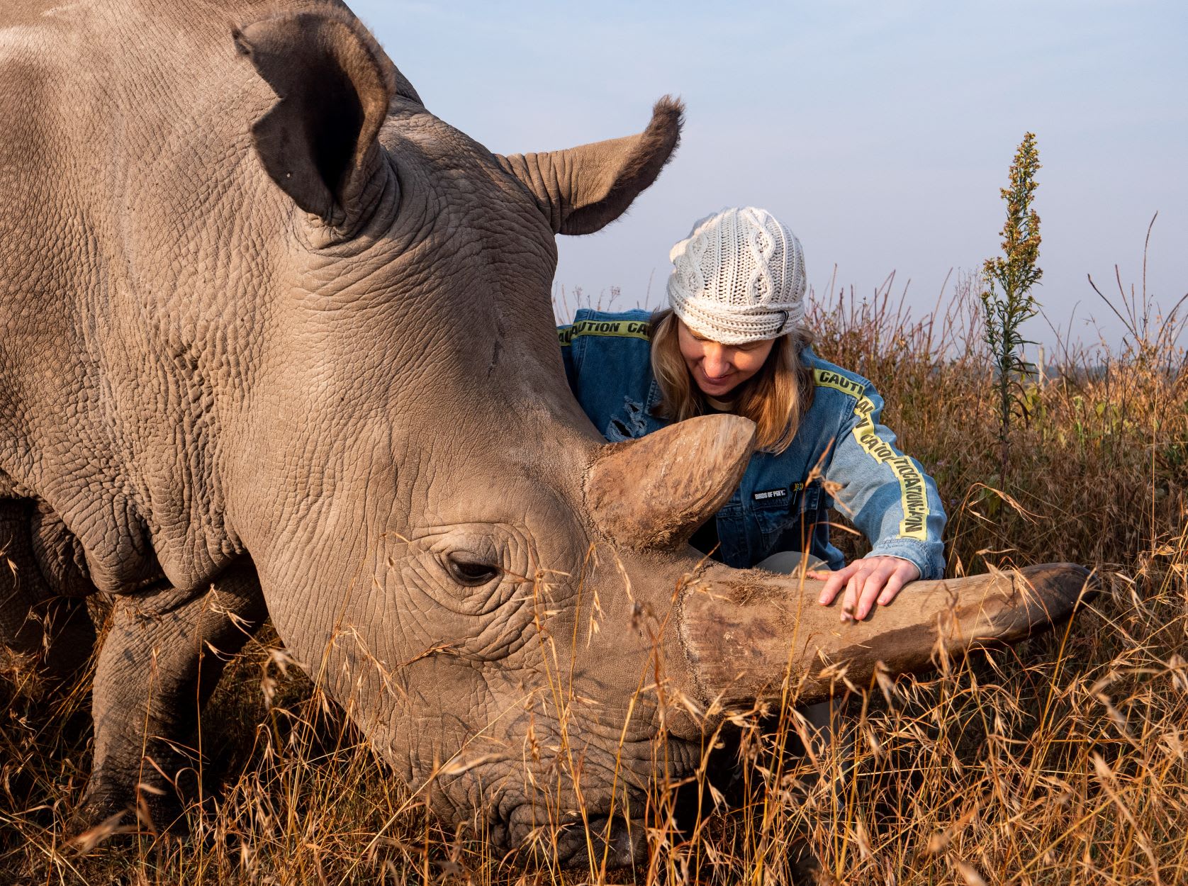 Saving the Wild seeks US sanctions against South African court