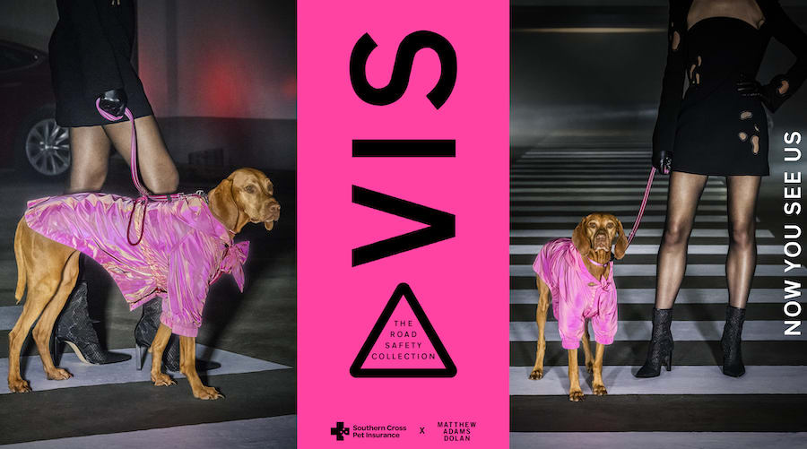 TBWA/NZ Eleven PR & Southern Cross Pet Insurance win gold at Pressies for Best Integrated Campaign TBWA/NZ Eleven PR & Southern Cross Pet Insurance win gold at Pressies for Best Integrated Campaign