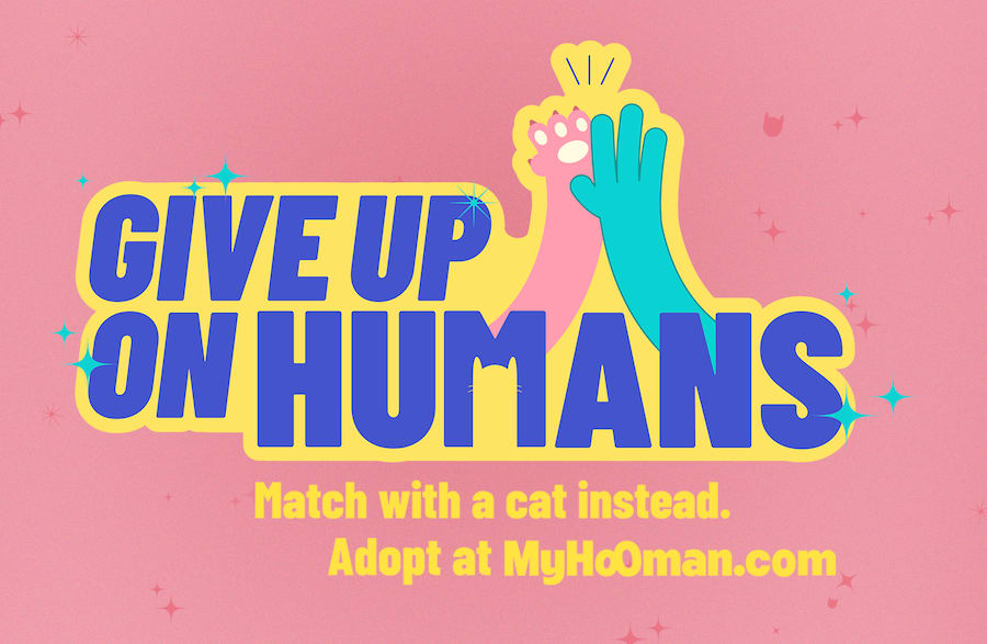 Colenso and Myhooman help singles find purrfect match
