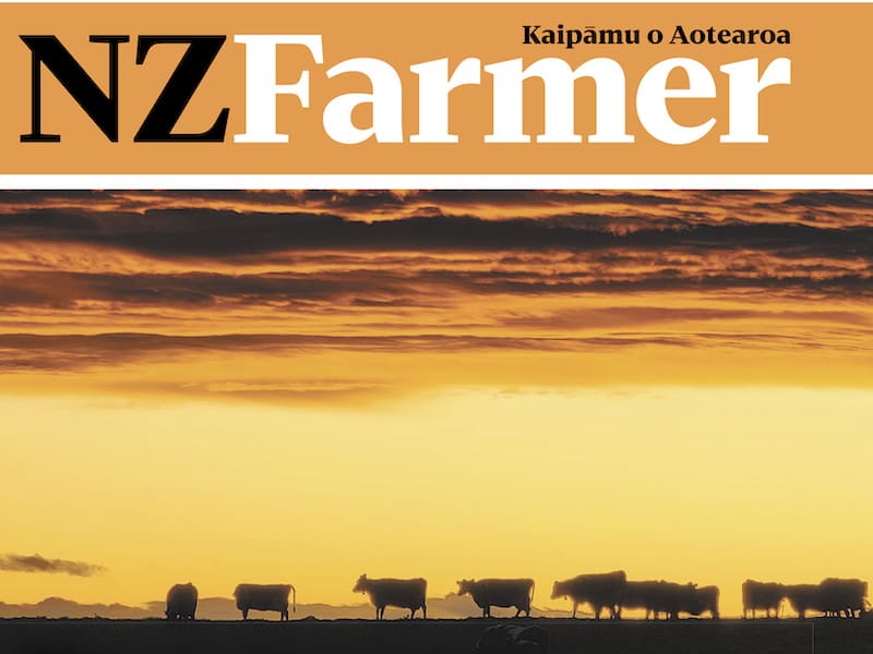Stuff re-launches NZFarmer after five-year hiatus - stoppress.co.nz