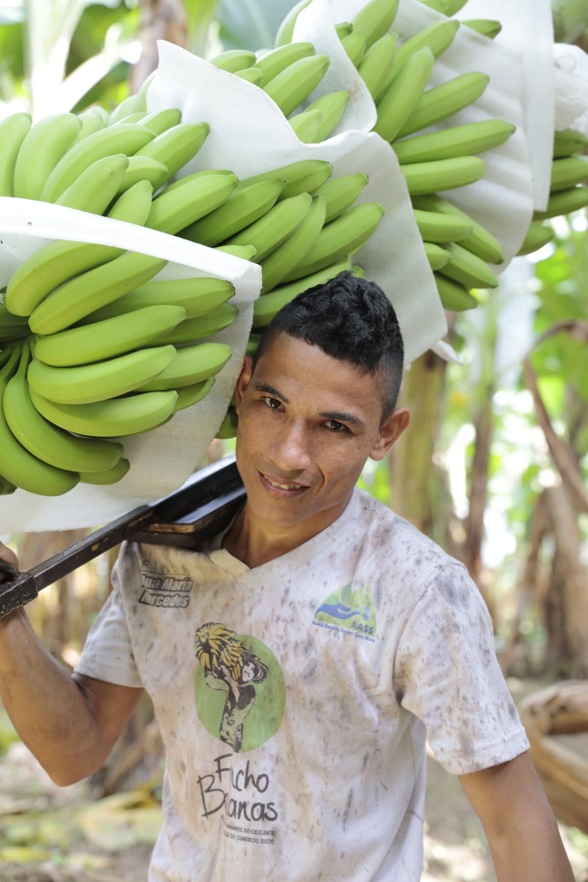 banana journey fairtrade